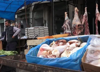 تقرير خاص: سوق العمل السوري بعد النظام البائد.. مؤشرات وأرقام