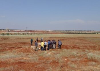 اكتشاف مقبرة جماعية في سراقب